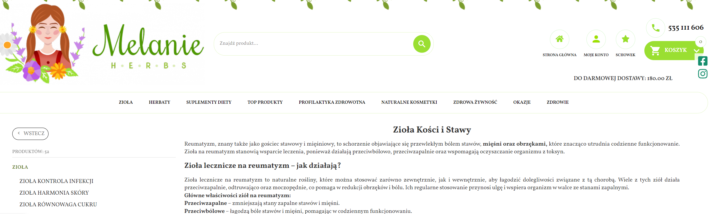 Zioła na reumatyzm w medycynie ludowej i współczesnej fitoterapii – co się zmieniło przez pokolenia?