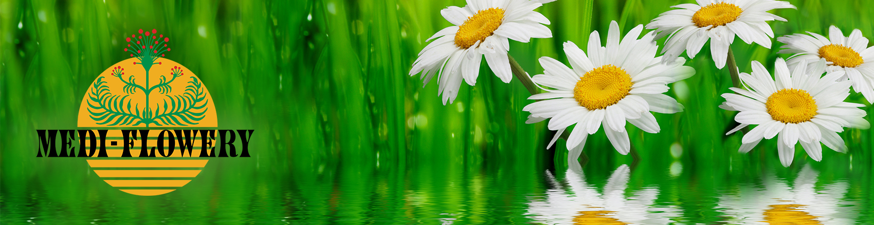 Logo Medi-Flowery